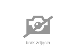 Iveco Pozostałe - zobacz ofertę
